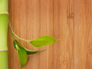 Brisbane Floorboards – Aesthetic and Functional Bamboo Floorings